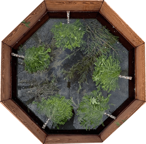 Чан с еловым наполнением